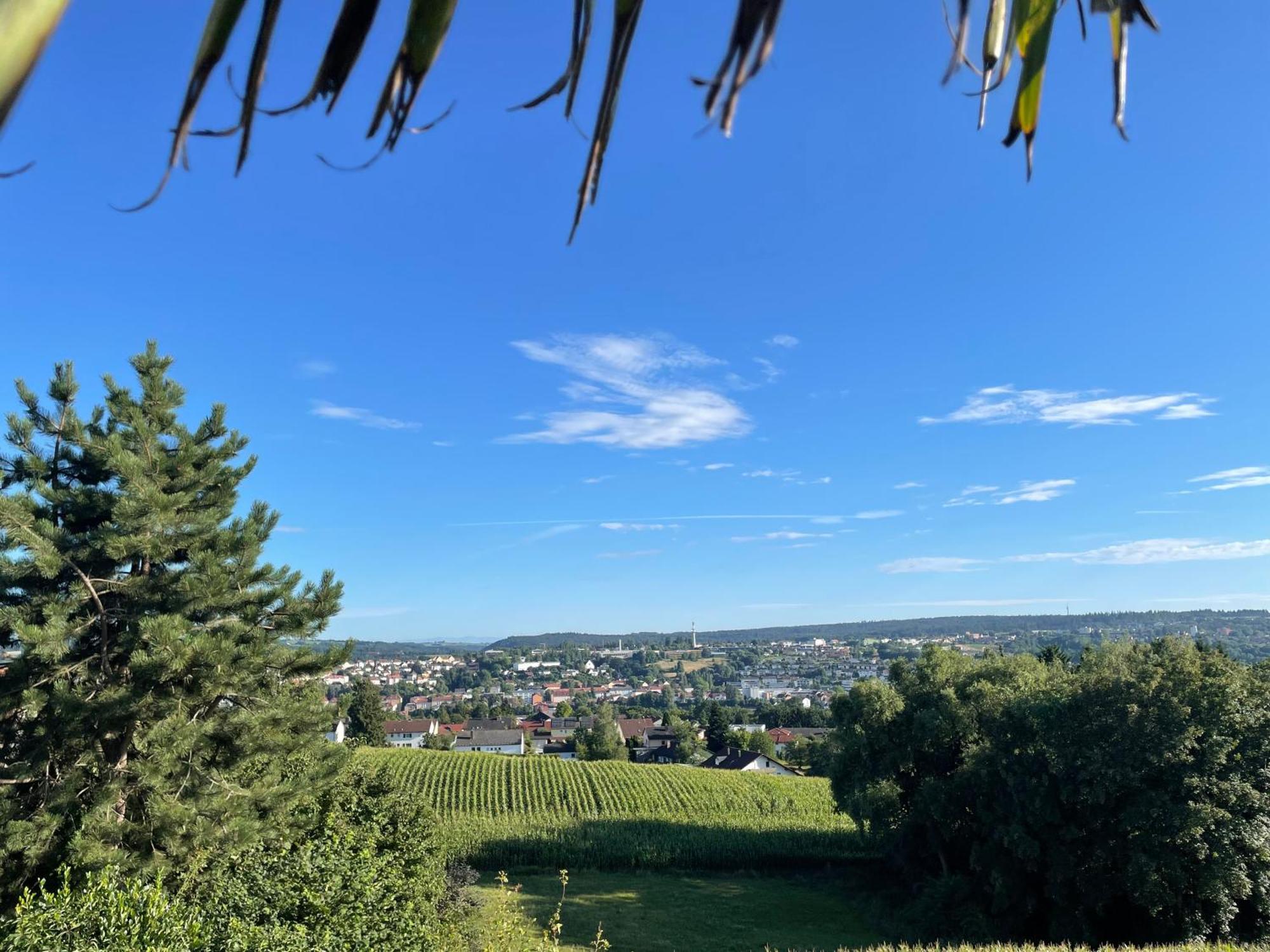 فيلا Beach-House Mit Alpen- Stadt- Und Poolblick , Wlan باساو المظهر الخارجي الصورة